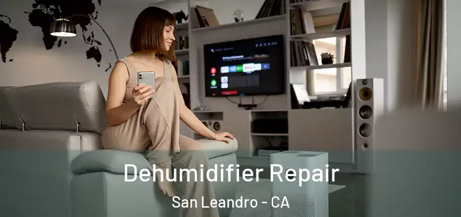 Dehumidifier Repair San Leandro - CA
