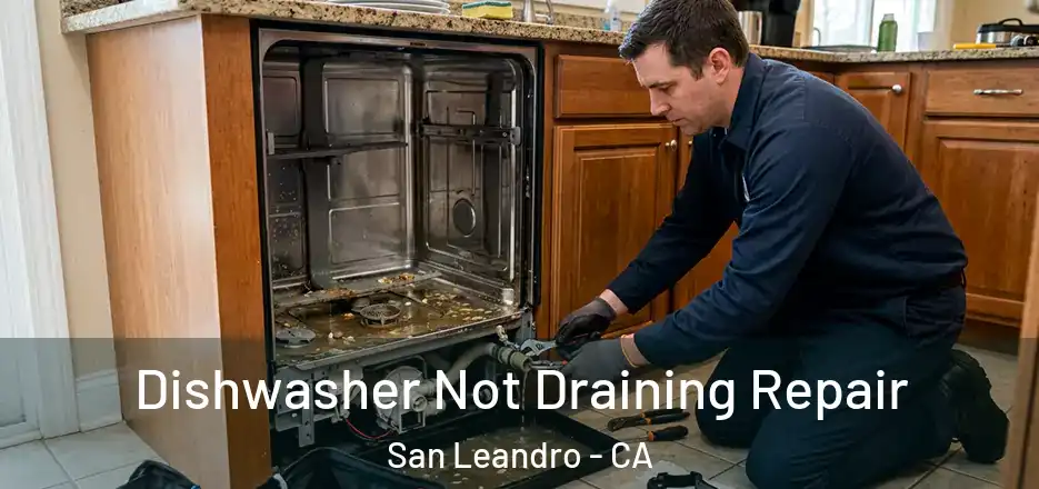 Dishwasher Not Draining Repair San Leandro - CA
