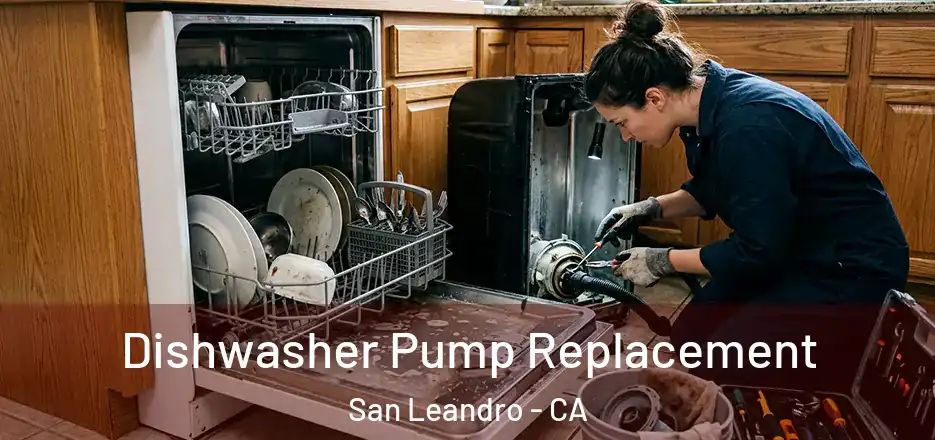 Dishwasher Pump Replacement San Leandro - CA