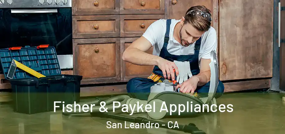 Fisher & Paykel Appliances San Leandro - CA
