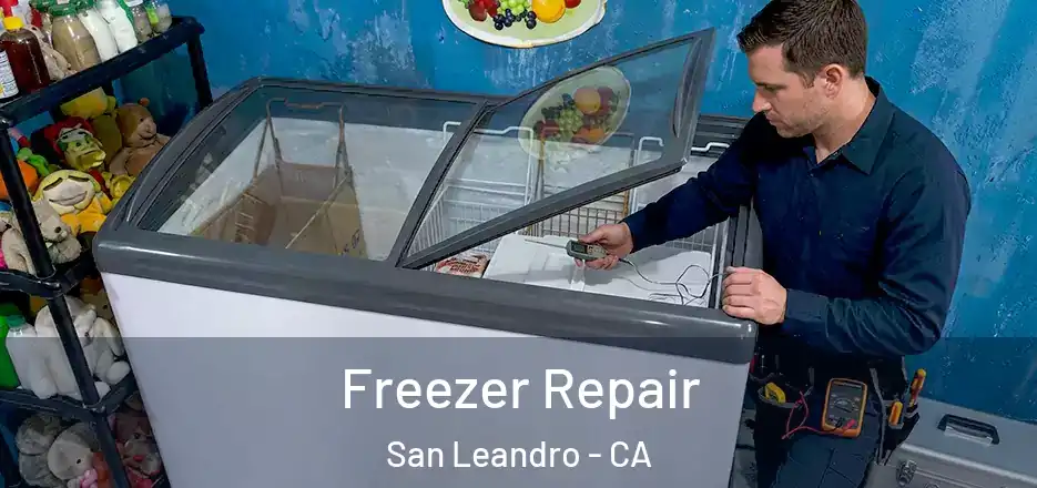 Freezer Repair San Leandro - CA