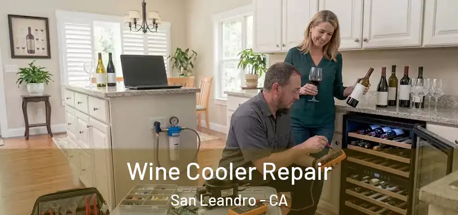 Wine Cooler Repair San Leandro - CA